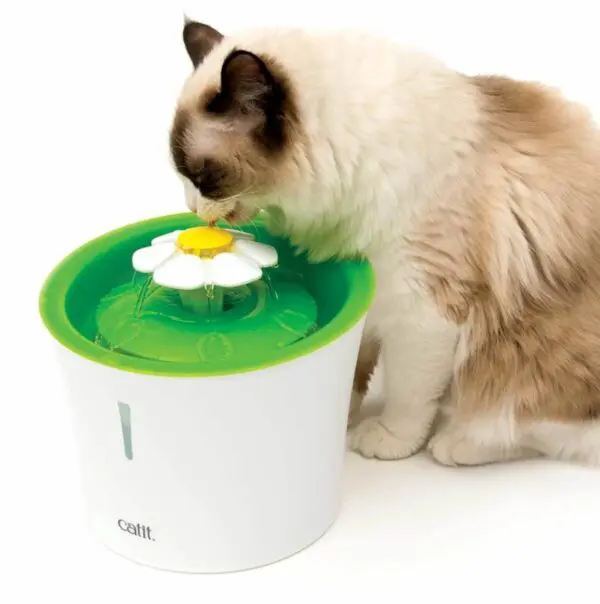 Catit Flower Fountain cat drinker