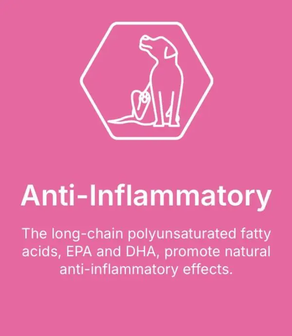 Cani Cuisine. Veterinary Care. Skin and Coat. Anti-inflammatory food