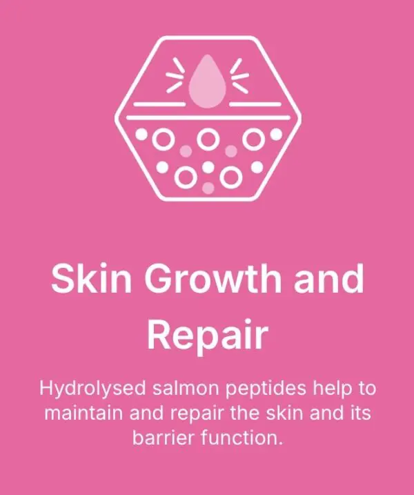 Skin and Coat. Skin growth and repair dog food