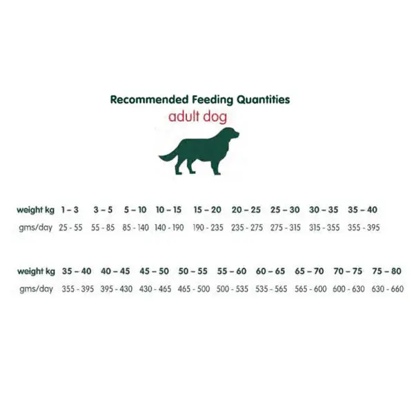 Arden Grange Mini Adult Chicken feeding plan