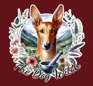 The dog witch 
