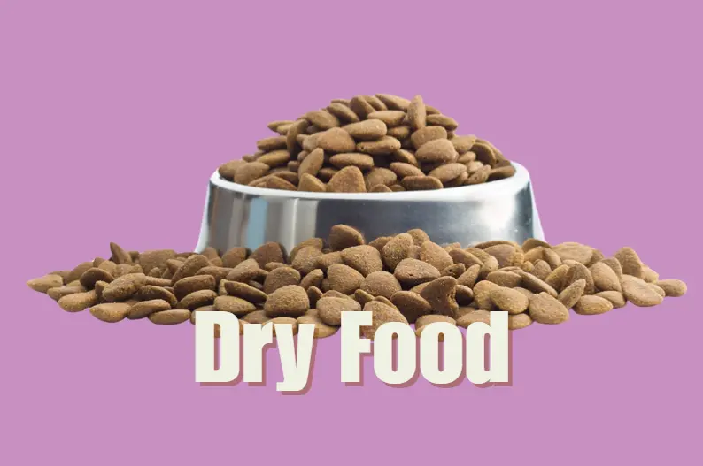 screenshot_29-9-2025_161923_www-canva-com