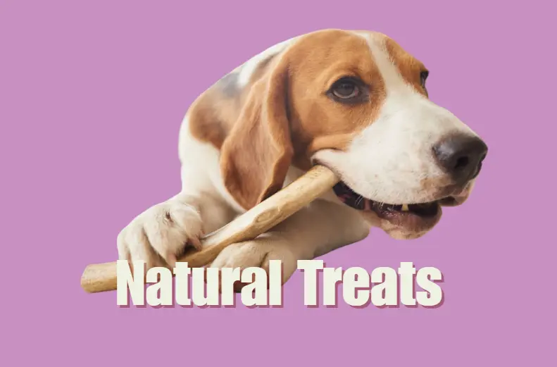 screenshot_29-9-2025_164429_www-canva-com