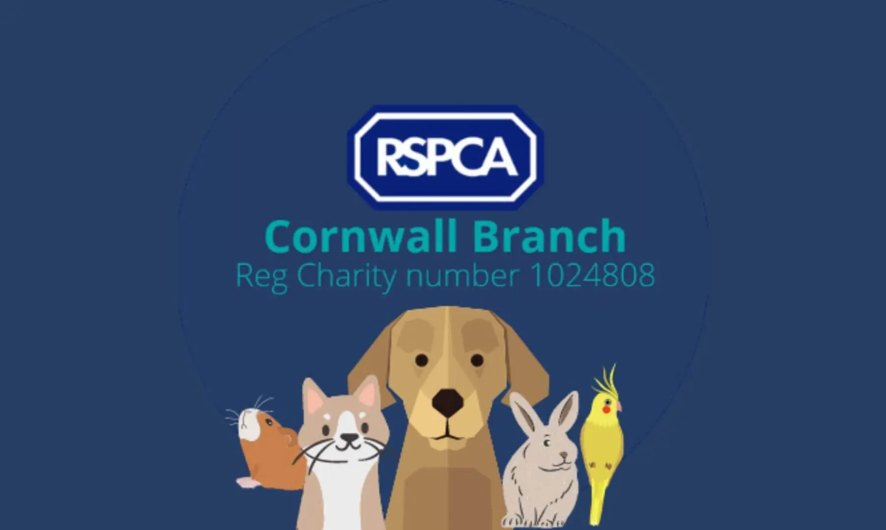 rspca-cornwall-branch-halts-intake-of-small-animals-amid-economic-strain