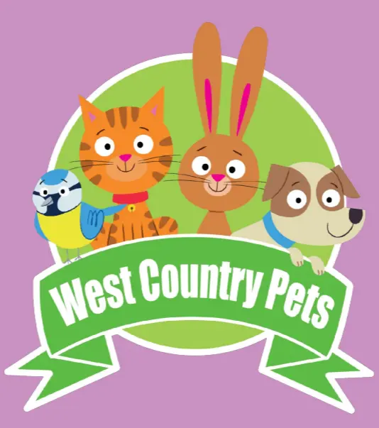 screenshot_21-7-2025_16208_www-canva-com