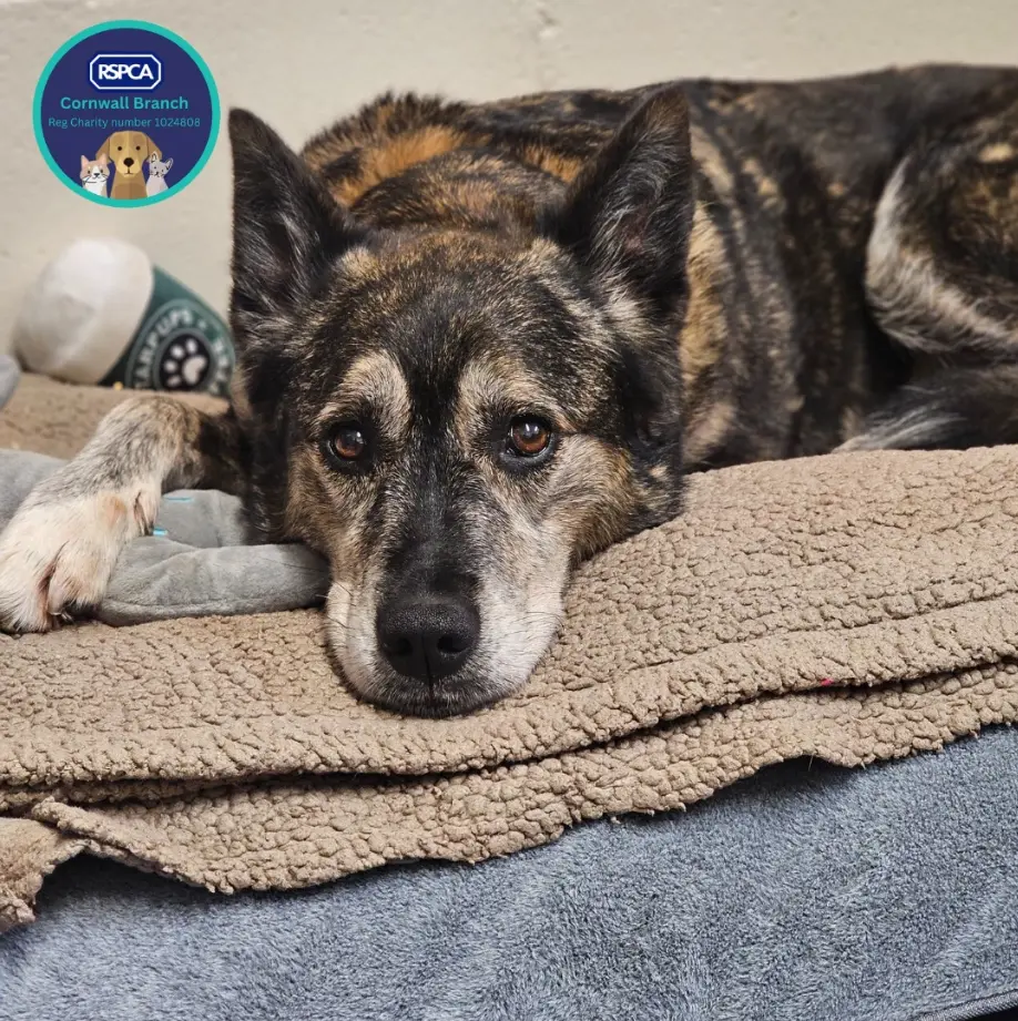 screenshot_28-10-2025_121023_www-facebook-com