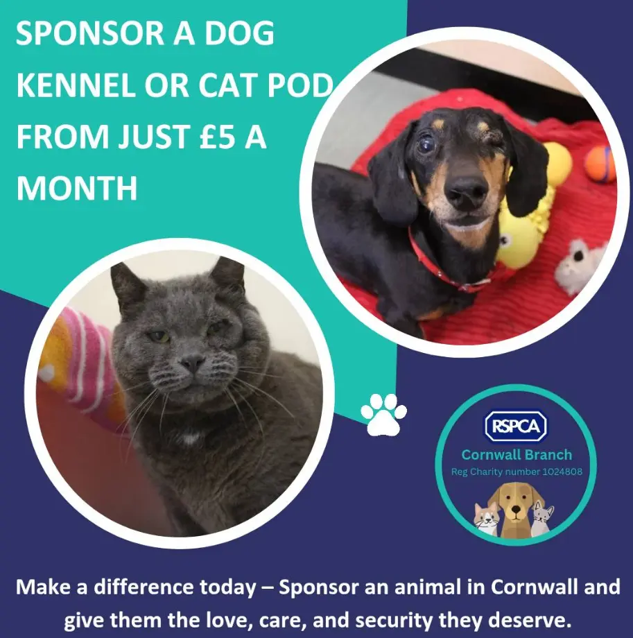 screenshot_28-10-2025_121255_www-facebook-com