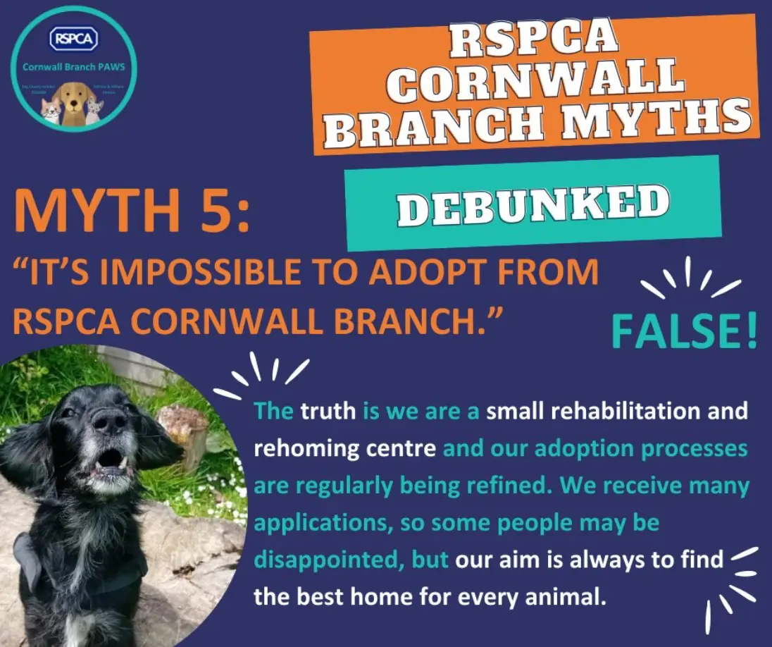 screenshot_28-10-2025_121420_www-facebook-com