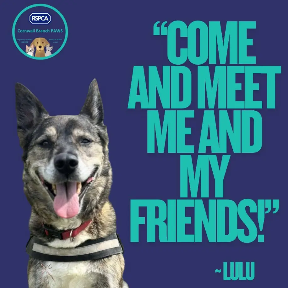 screenshot_28-10-2025_121616_www-facebook-com