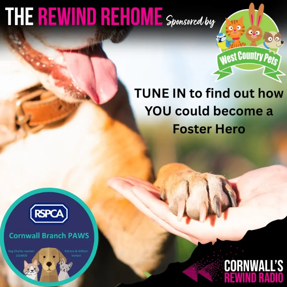 screenshot_28-10-2025_12952_www-facebook-com