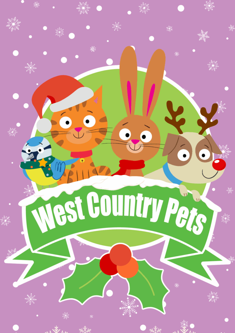 xmas-west-country-pets-1