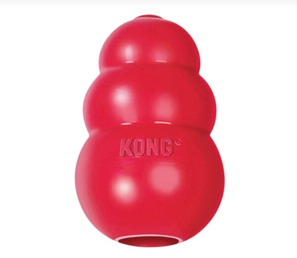 kong Classic