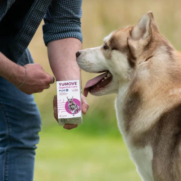 YuMove Digestive Care Plus sachets