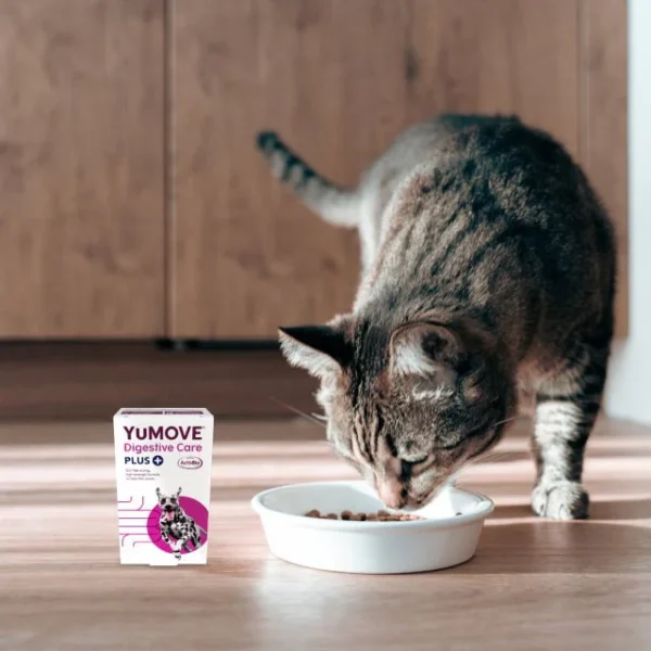 YuMove Digestive Care Plus sachets