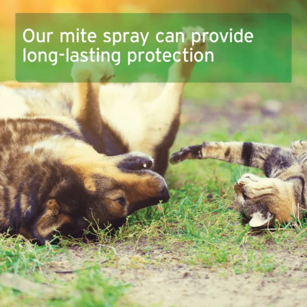 Aniforte Mite Spray 2