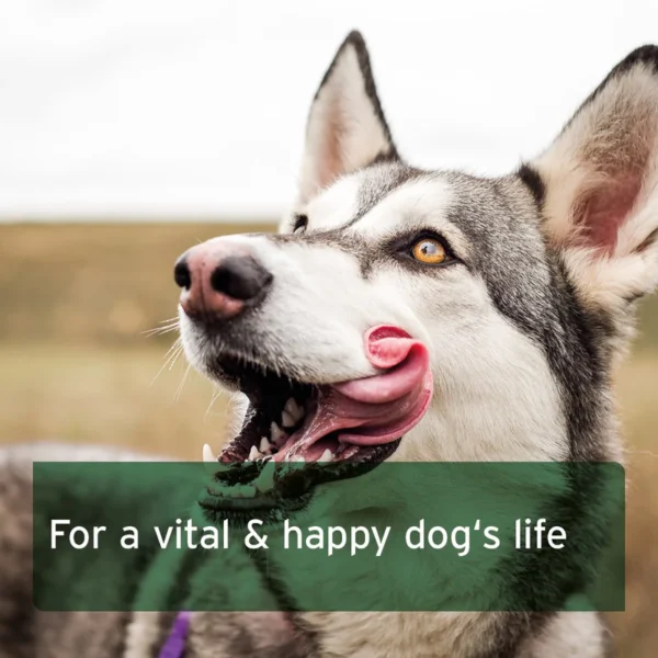 AniForte® BARF Canine complete