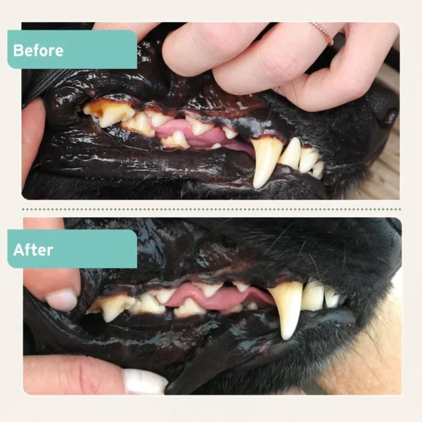AniForte® Dental Powder