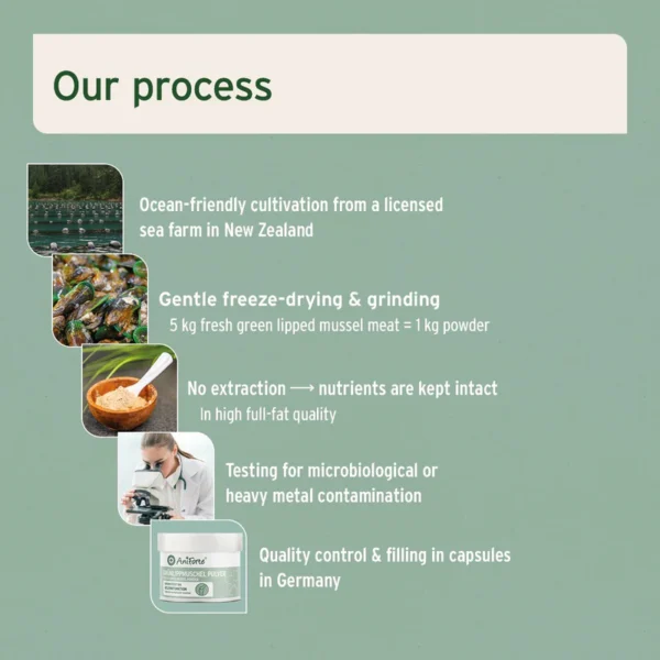 AniForte® Green Lipped Mussel Powder