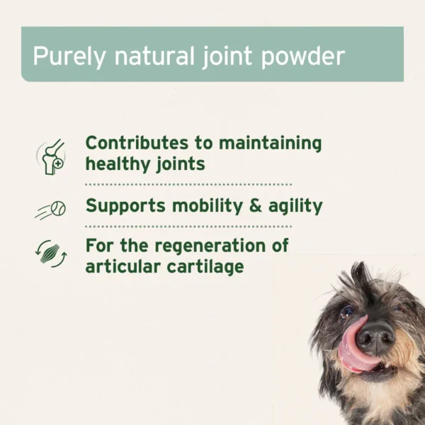 AniForte® Green Lipped Mussel Powder