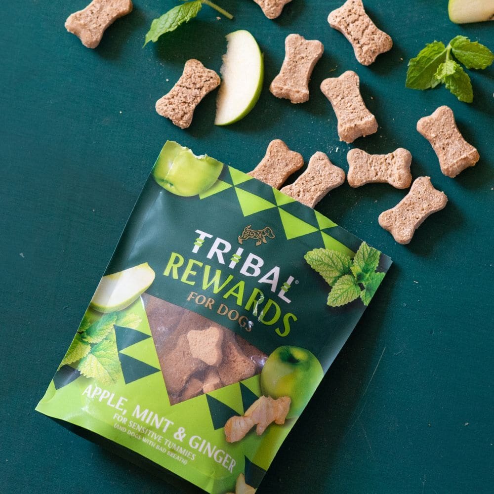 Tribal Rewards Apple, Mint & Ginger