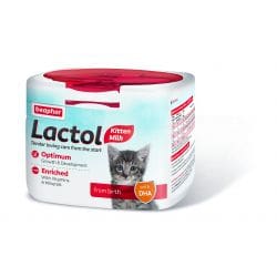 Lactol Kitten Milk Formula