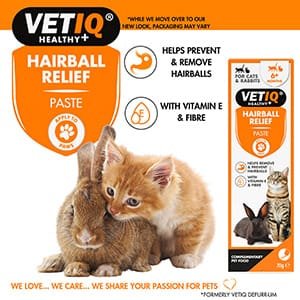 VetIQ Hairball Remedy Paste
