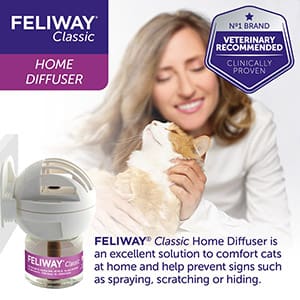 Feliway Diffuser Starter Pack