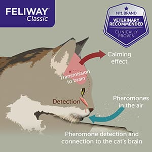 Feliway Diffuser Starter Pack