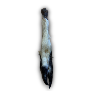 Anco Naturals Hairy Lamb Trotter - 2 Pieces