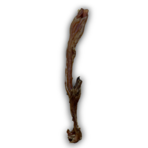 Anco Naturals Beef Tendon - 1 Piece