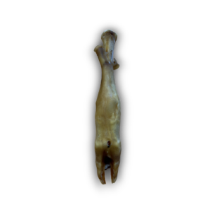 Anco Naturals Lamb Trotter - 1 Piece
