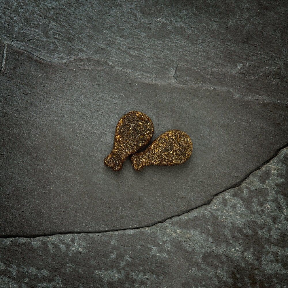 Canagan Softies Quail Dog Treats