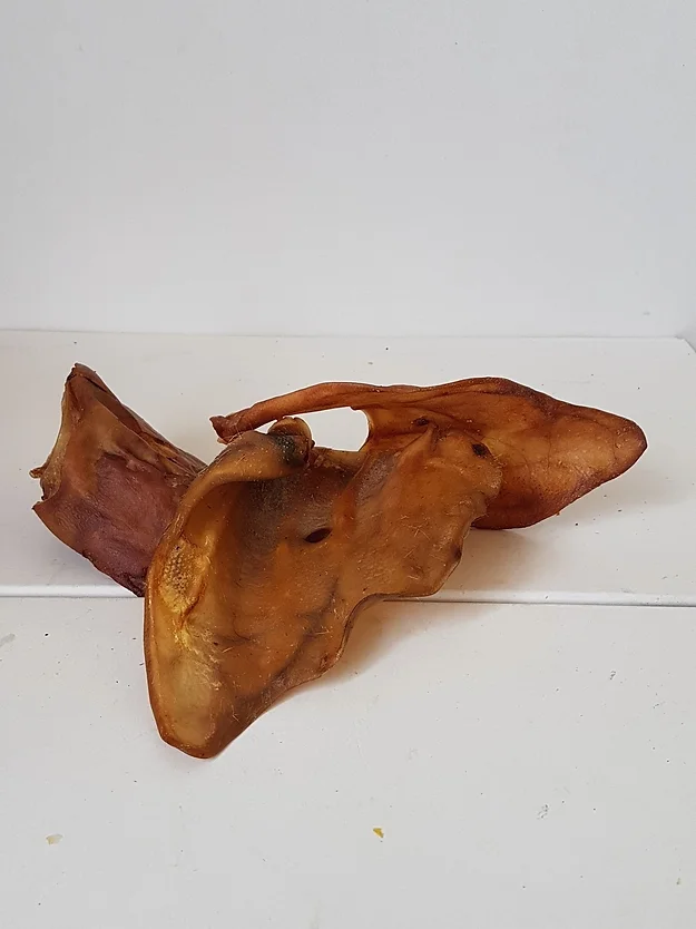 XL Pig Ear Natural Dog Chew