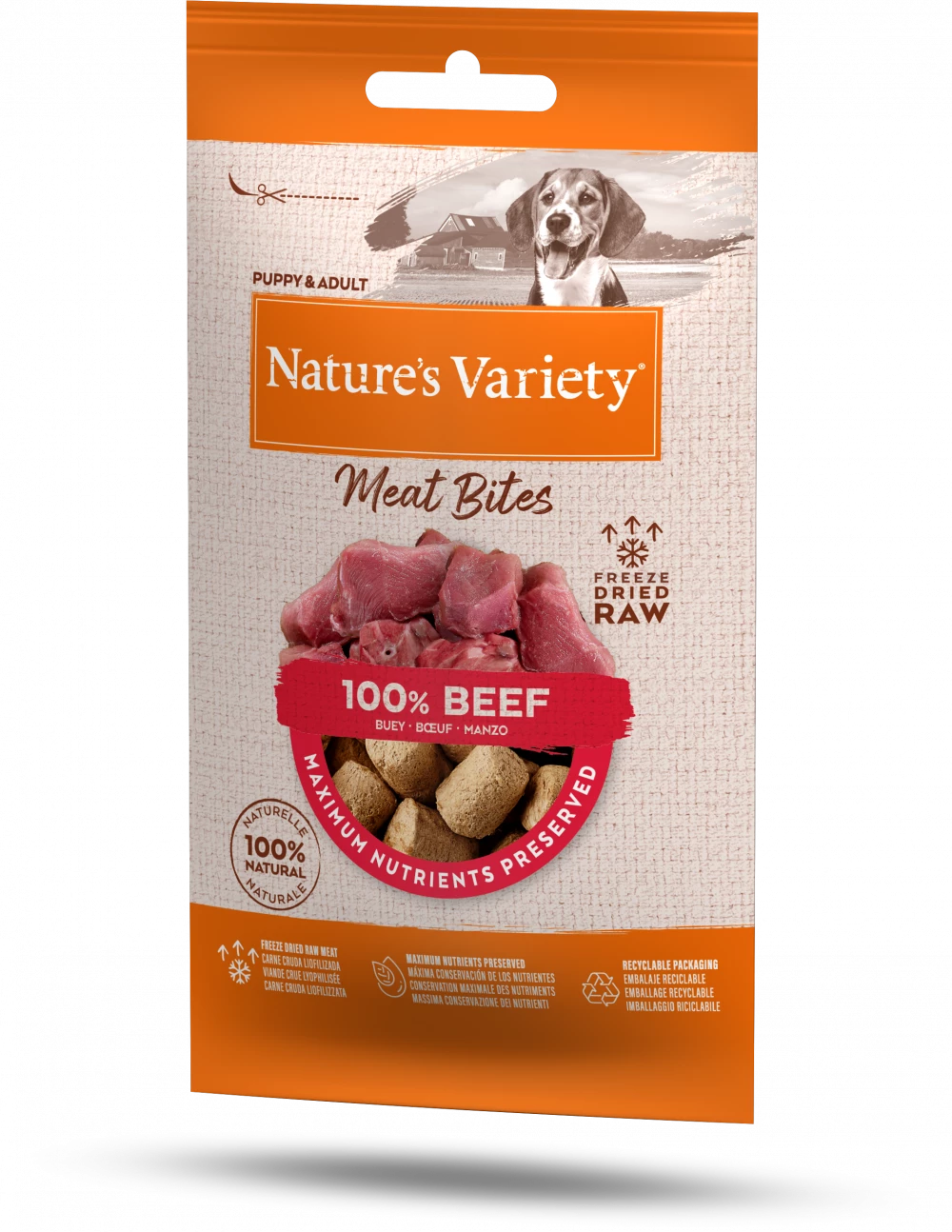 Natures Variety Freeze Dried Bites Beef