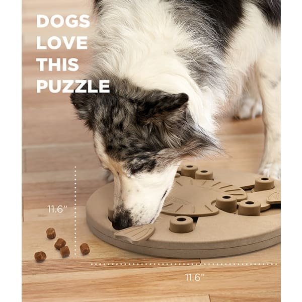 Nina Ottosson Dog Worker Level 3