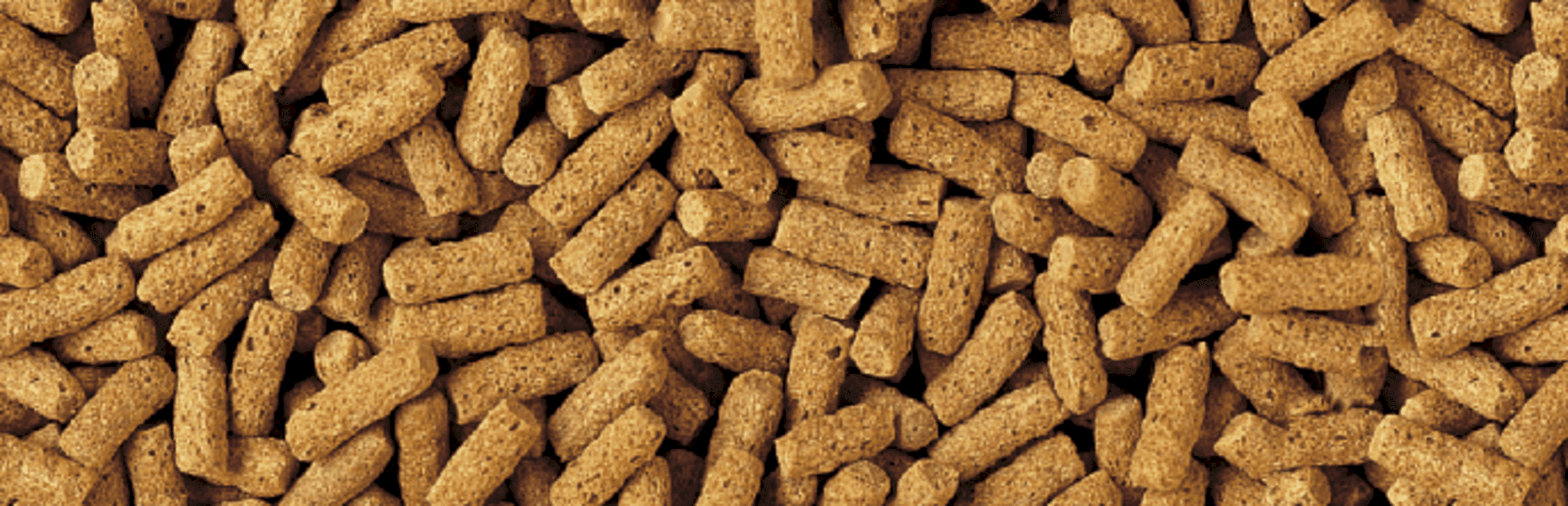 Tetra Pond Wheatgerm Sticks