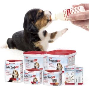 Beaphar Lactol Milk Replacer powder
