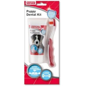 Toothbrush & Toothpaste for Puppies beaphar