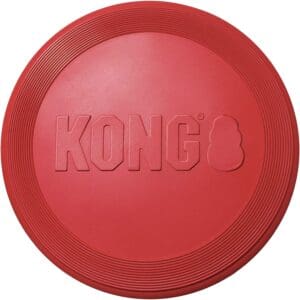 KONG CLASSIC FLYER