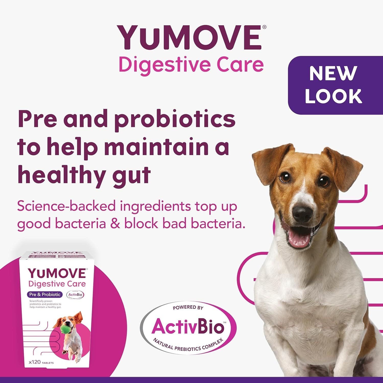 YuMOVE Digestive Care Pre & Probiotic for Dogs