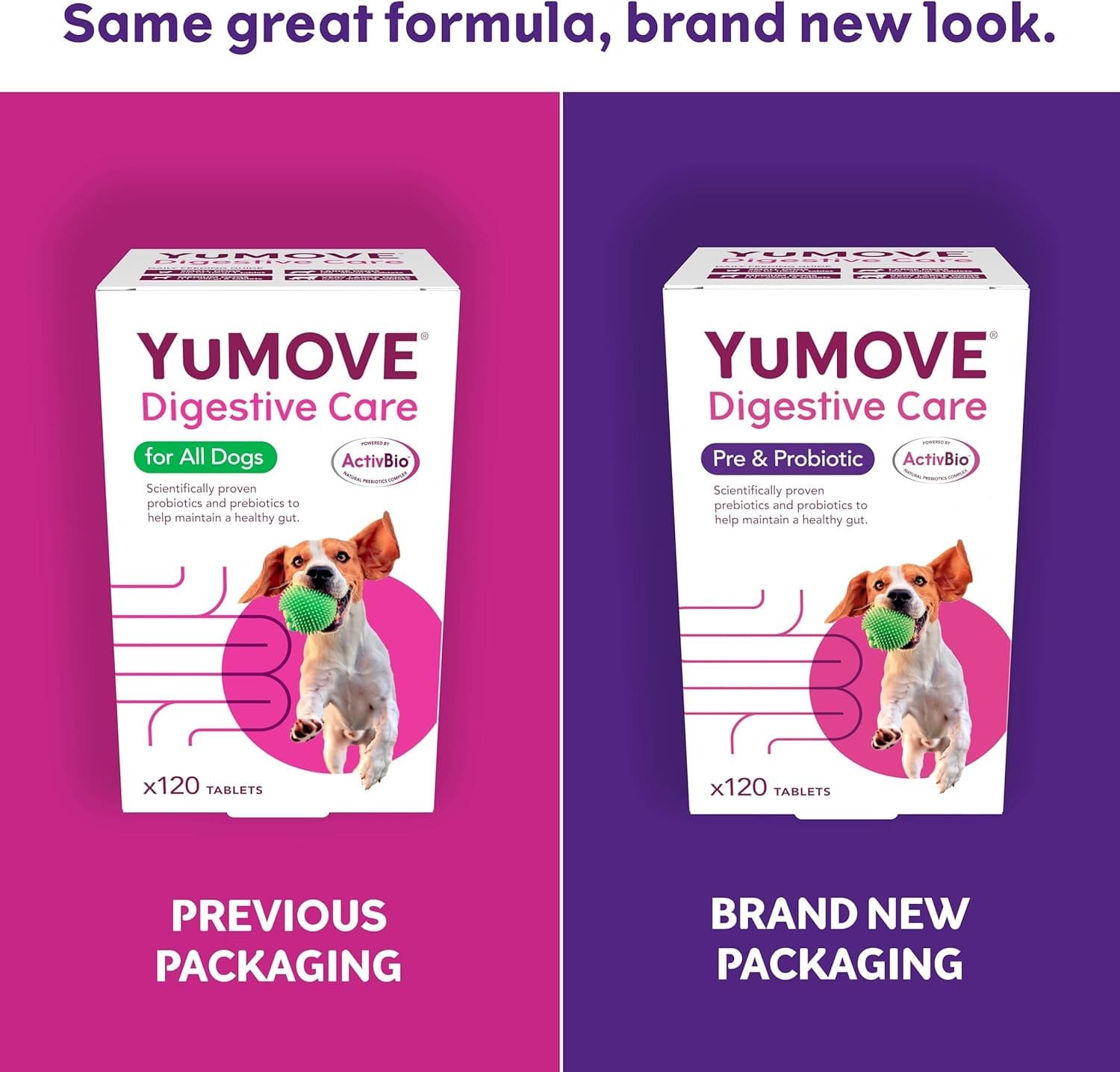 YuMOVE Digestive Care Pre & Probiotic for Dogs
