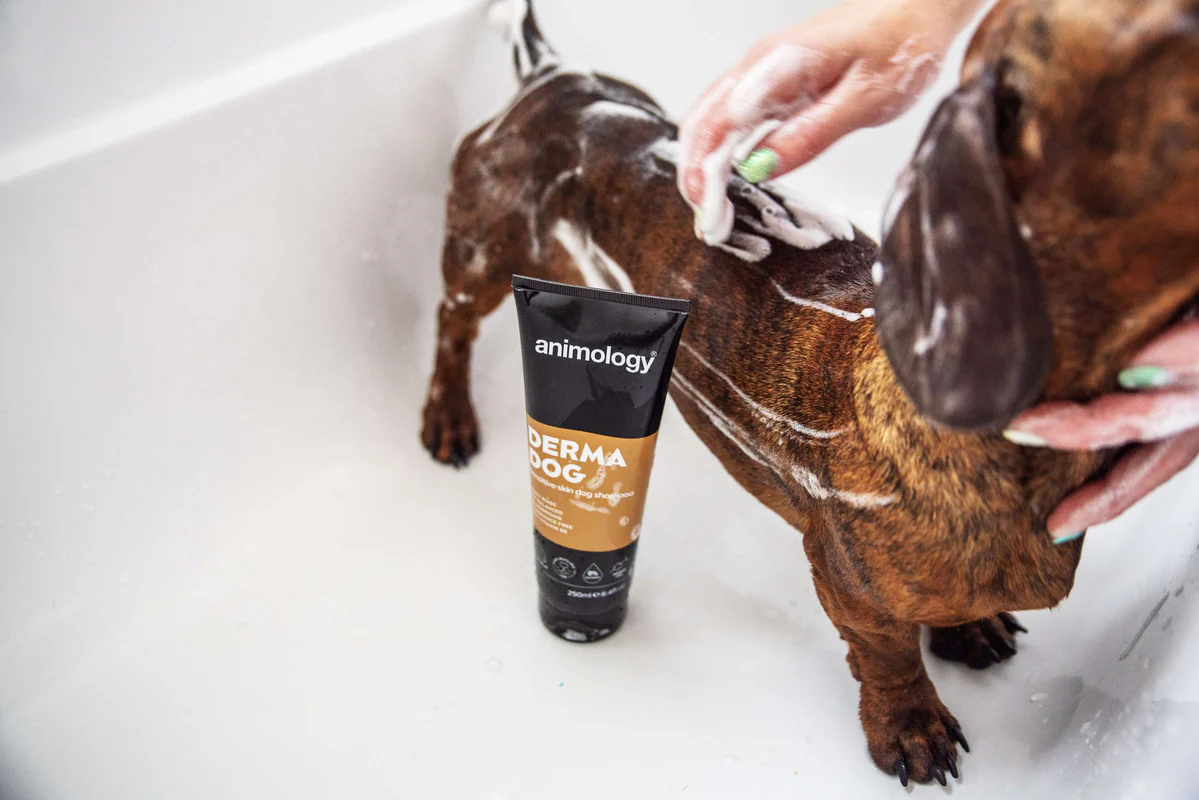 Animology Derma Dog Shampoo