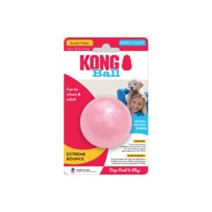Kong Puppy Ball