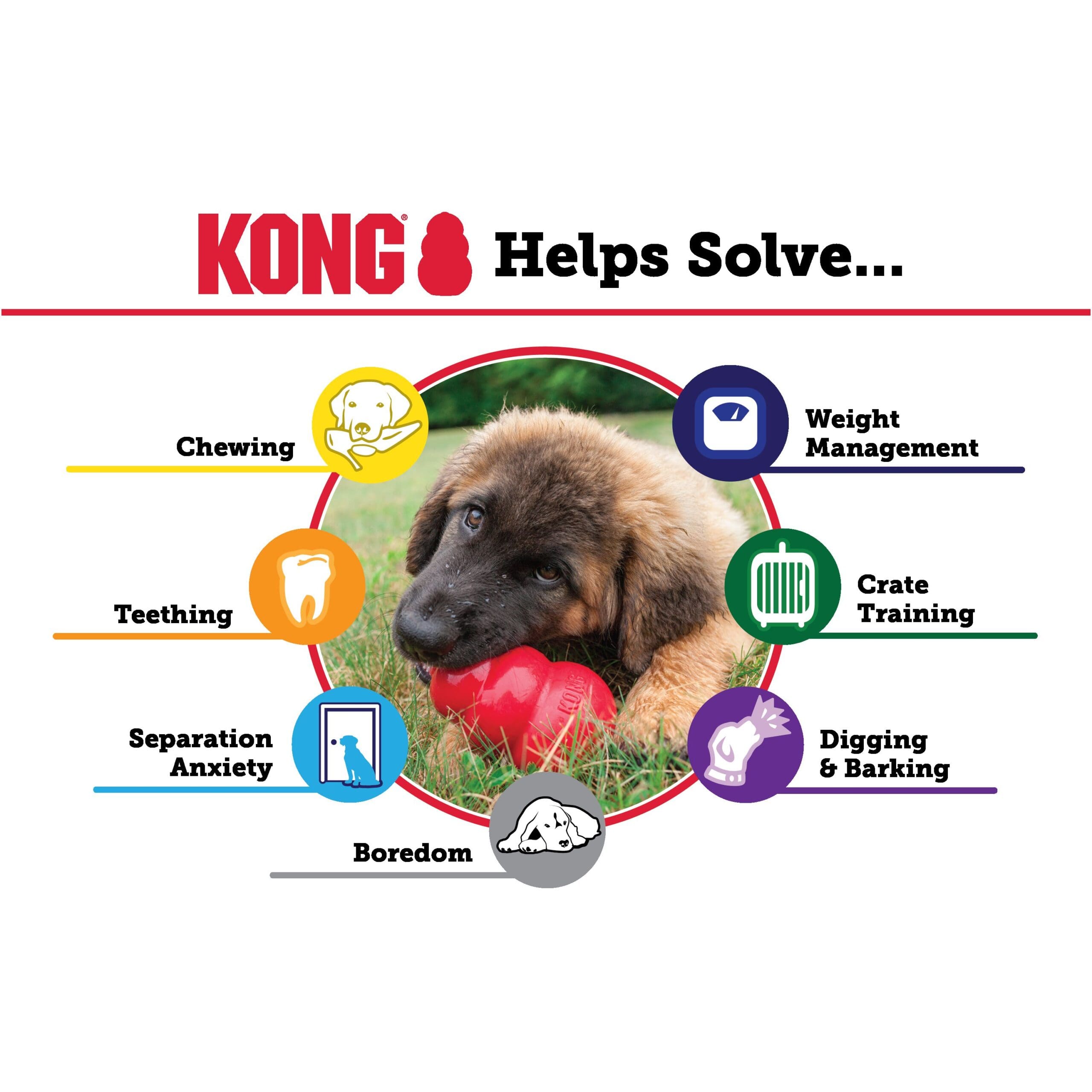 Kong Puppy Dog Toy
