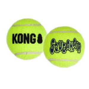 KONG SqueakAir tennis ball