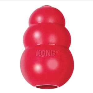 kong Classic dog toy
