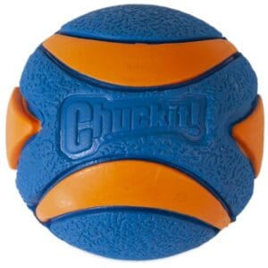 Chuck it Squeaker Ultra ball