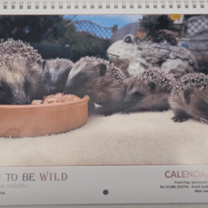 Born To Be Wild Wall Calendar 2025