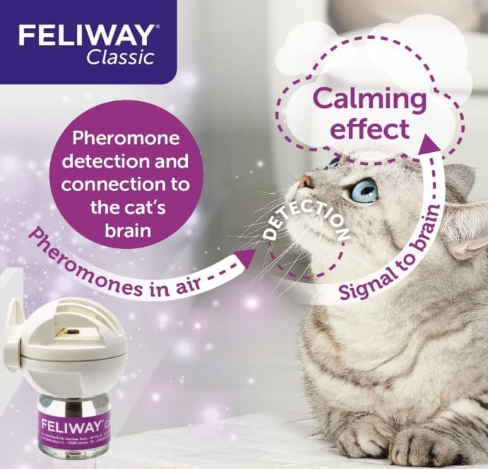 Feliway Classic Happy Cat Calm and Comfort Spray