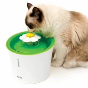 Catit Flower Fountain cat drinker